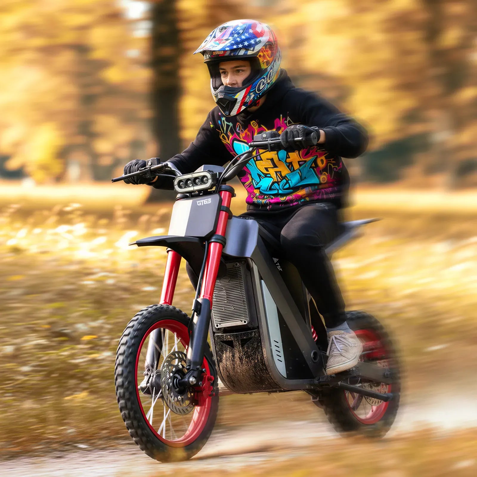 TST GT63 14" 2400W 210Nm High-Torque Electric Dirt Bike